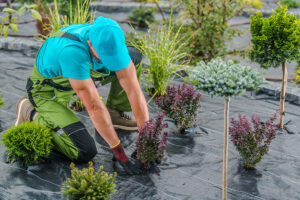 landscape installation